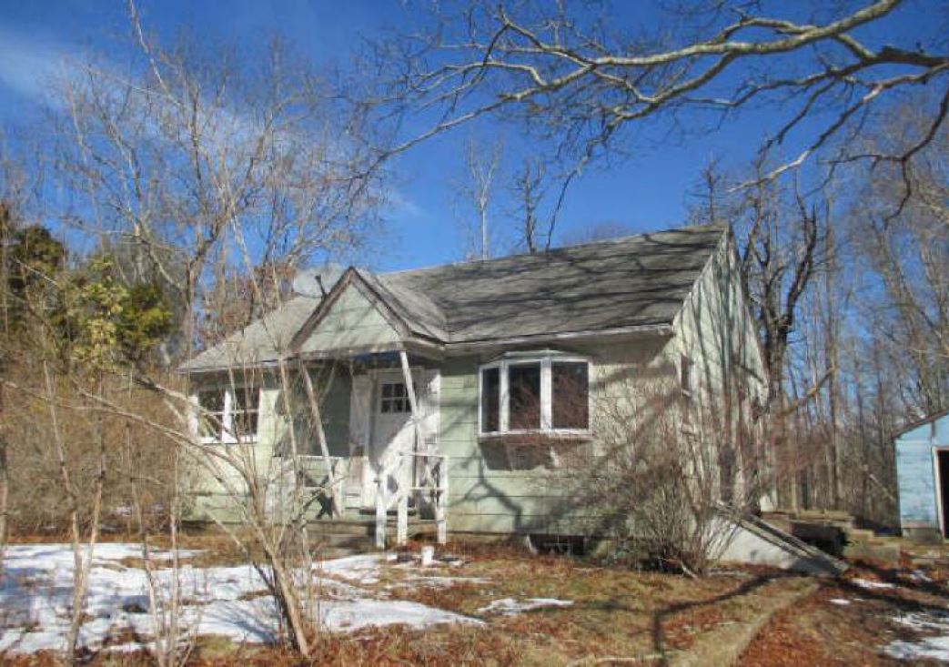 Wainscott NY - 24 Hedge Front