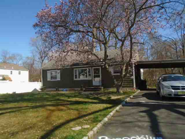 Colonia New Jersey - Alb1