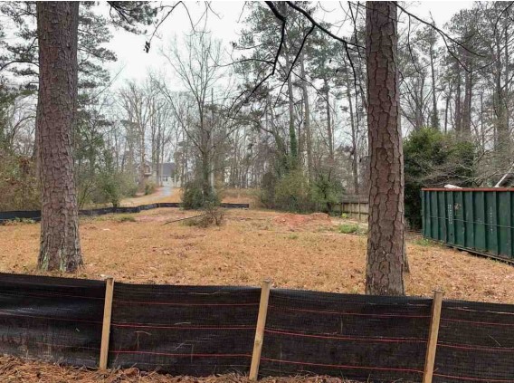 Atlanta Georgia - Clair1