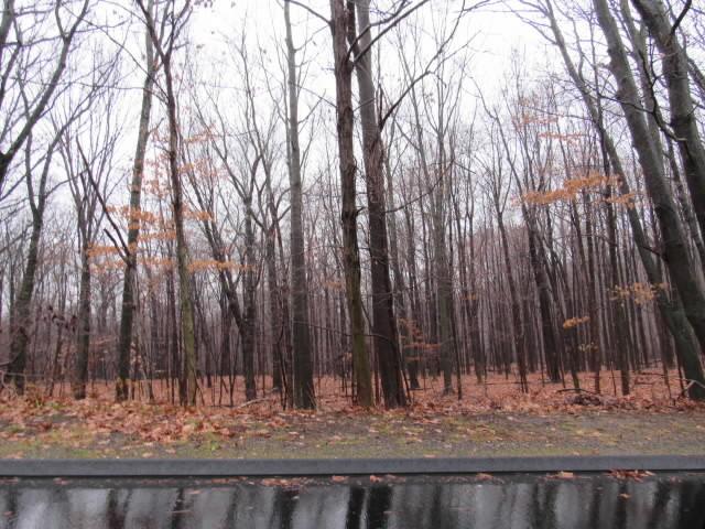 Danbury CT  And - Danbury Ct And Front 2 3