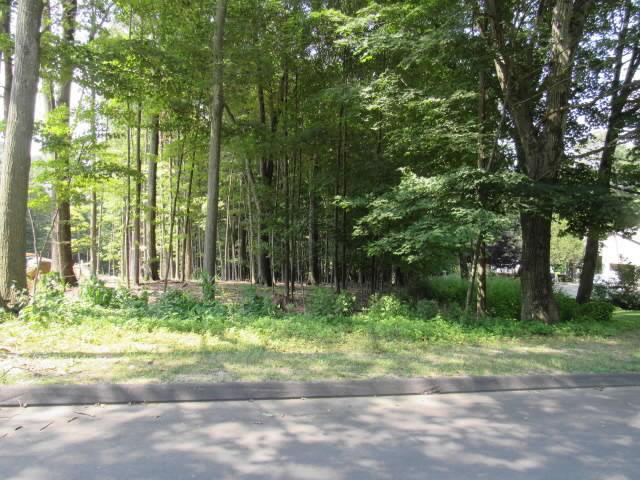 Danbury CT - Danbury Ct Land 3